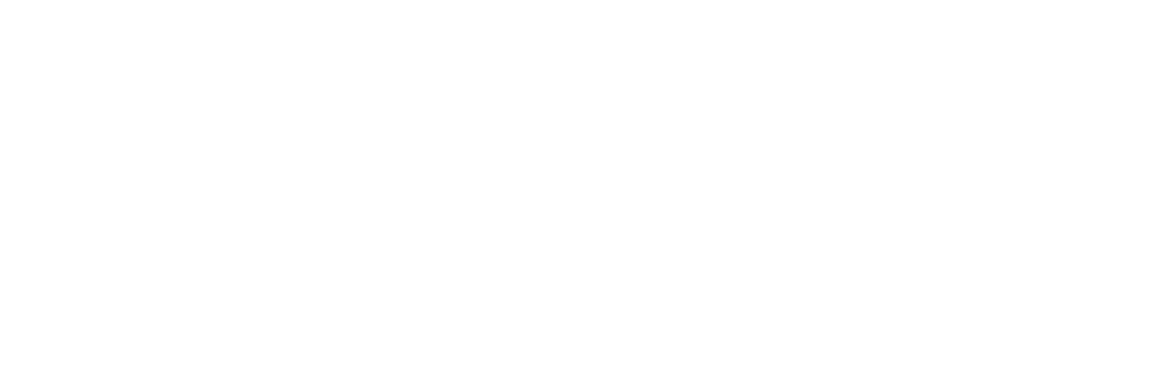 MAS Worldwide Express